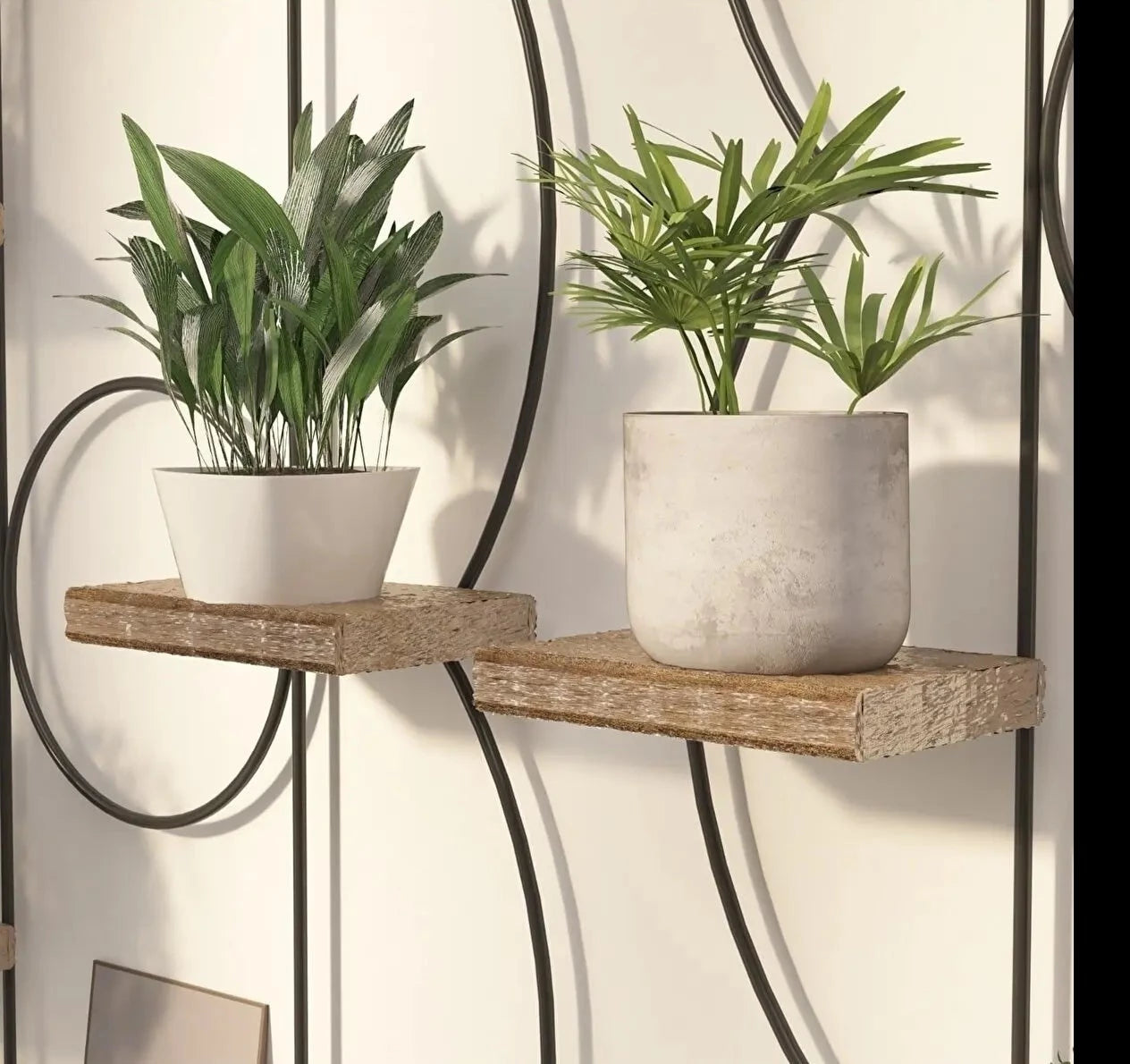 Planche murale en bois pour plantes